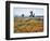 California, Antelope Valley, Joshua Trees in California Poppy-Christopher Talbot Frank-Framed Photographic Print