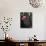 California, Anza Borrego Desert Sp, Beavertail Cactus Flowers-Christopher Talbot Frank-Mounted Photographic Print displayed on a wall