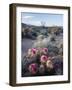 California, Anza Borrego Desert Sp, Calico Cactus, Flowers-Christopher Talbot Frank-Framed Photographic Print