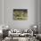 California, Anza Borrego Desert Sp, Cholla Cacti and Ocotillos-Christopher Talbot Frank-Photographic Print displayed on a wall