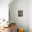 California, Anza Borrego Desert Sp, Sand Verbena and a Cholla Cactus-Christopher Talbot Frank-Framed Stretched Canvas displayed on a wall