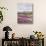 California, Anza Borrego Desert Sp, Sand Verbena in the Desert-Christopher Talbot Frank-Stretched Canvas displayed on a wall