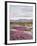 California, Anza Borrego Desert Sp, Sand Verbena in the Desert-Christopher Talbot Frank-Framed Premium Photographic Print