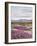 California, Anza Borrego Desert Sp, Sand Verbena in the Desert-Christopher Talbot Frank-Framed Photographic Print