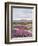 California, Anza Borrego Desert Sp, Sand Verbena in the Desert-Christopher Talbot Frank-Framed Photographic Print