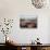 California, Anza Borrego Desert Sp, Wildflowers on a Sand Dune-Christopher Talbot Frank-Stretched Canvas displayed on a wall