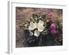 California, Anza Borrego Desert Sp, Wildflowers on a Sand Dune-Christopher Talbot Frank-Framed Photographic Print