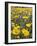 California, Anza Borrego Desert State Park, Desert Sunflowers-Christopher Talbot Frank-Framed Photographic Print