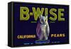 California, B-Wise Brand Pear Label-Lantern Press-Framed Stretched Canvas