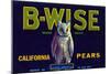 California, B-Wise Brand Pear Label-Lantern Press-Mounted Art Print