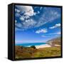 California Beach in Big Sur in Monterey Pacific Highway along State Route 1 US-holbox-Framed Stretched Canvas