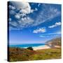 California Beach in Big Sur in Monterey Pacific Highway along State Route 1 US-holbox-Stretched Canvas