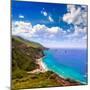 California  Beach near Bixby Bridge in Big Sur in Monterey County along State Route 1 US-holbox-Mounted Photographic Print