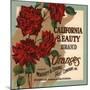 California Beauty Brand - Riverside, California - Citrus Crate Label-Lantern Press-Mounted Art Print