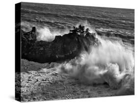 California, Big Sur, Big Wave Crashes Against Rocks and Trees at Julia Pfeiffer Burns State Park-Ann Collins-Stretched Canvas