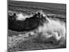 California, Big Sur, Big Wave Crashes Against Rocks and Trees at Julia Pfeiffer Burns State Park-Ann Collins-Mounted Photographic Print