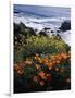 California, Big Sur Coast, Central Coast, California Poppy and Ocean-Christopher Talbot Frank-Framed Photographic Print