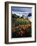 California, Big Sur Coast, Central Coast, California Poppy and Ocean-Christopher Talbot Frank-Framed Photographic Print