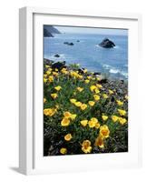 California, Big Sur Coast, Central Coast, California Poppy-Christopher Talbot Frank-Framed Photographic Print