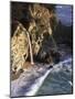 California, Big Sur Coast, Julia Pfeiffer Burns Sp, Mcway Falls-Christopher Talbot Frank-Mounted Photographic Print