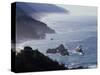 California, Big Sur Coast, Sea Stacks Along the Central Coast-Christopher Talbot Frank-Stretched Canvas