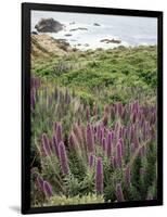 California, Big Sur Coastline, Wildflowers Along the Coast-Christopher Talbot Frank-Framed Photographic Print