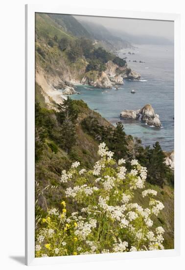 California, Big Sur, View of Pacific Ocean Coastline with Cow Parsley-Alison Jones-Framed Photographic Print