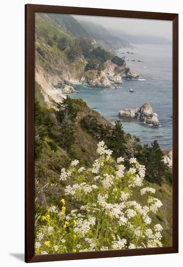 California, Big Sur, View of Pacific Ocean Coastline with Cow Parsley-Alison Jones-Framed Photographic Print