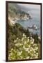 California, Big Sur, View of Pacific Ocean Coastline with Cow Parsley-Alison Jones-Framed Photographic Print