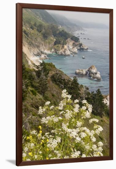 California, Big Sur, View of Pacific Ocean Coastline with Cow Parsley-Alison Jones-Framed Photographic Print