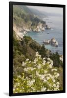 California, Big Sur, View of Pacific Ocean Coastline with Cow Parsley-Alison Jones-Framed Photographic Print