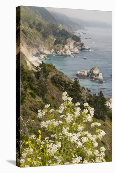 California, Big Sur, View of Pacific Ocean Coastline with Cow Parsley-Alison Jones-Stretched Canvas