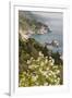 California, Big Sur, View of Pacific Ocean Coastline with Cow Parsley-Alison Jones-Framed Premium Photographic Print