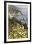 California, Big Sur, View of Pacific Ocean Coastline with Cow Parsley-Alison Jones-Framed Premium Photographic Print