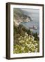 California, Big Sur, View of Pacific Ocean Coastline with Cow Parsley-Alison Jones-Framed Premium Photographic Print