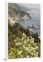 California, Big Sur, View of Pacific Ocean Coastline with Cow Parsley-Alison Jones-Framed Premium Photographic Print