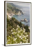 California, Big Sur, View of Pacific Ocean Coastline with Cow Parsley-Alison Jones-Framed Premium Photographic Print