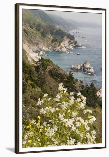 California, Big Sur, View of Pacific Ocean Coastline with Cow Parsley-Alison Jones-Framed Premium Photographic Print