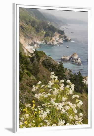 California, Big Sur, View of Pacific Ocean Coastline with Cow Parsley-Alison Jones-Framed Premium Photographic Print