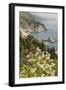 California, Big Sur, View of Pacific Ocean Coastline with Cow Parsley-Alison Jones-Framed Photographic Print