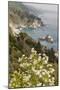 California, Big Sur, View of Pacific Ocean Coastline with Cow Parsley-Alison Jones-Mounted Photographic Print