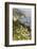 California, Big Sur, View of Pacific Ocean Coastline with Cow Parsley-Alison Jones-Framed Photographic Print