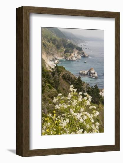 California, Big Sur, View of Pacific Ocean Coastline with Cow Parsley-Alison Jones-Framed Photographic Print