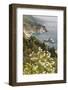 California, Big Sur, View of Pacific Ocean Coastline with Cow Parsley-Alison Jones-Framed Photographic Print
