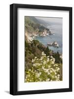 California, Big Sur, View of Pacific Ocean Coastline with Cow Parsley-Alison Jones-Framed Photographic Print