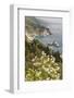 California, Big Sur, View of Pacific Ocean Coastline with Cow Parsley-Alison Jones-Framed Photographic Print