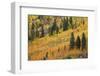California, Bishop Creek Canyon. Autumn Color in Mountains-Jaynes Gallery-Framed Photographic Print
