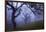 California Black Oaks, Evening, Mt Diablo State Park, California, USA-Charles Gurche-Framed Photographic Print