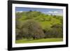 California Black Oaks, Mt Diablo State Park, California, USA-Charles Gurche-Framed Photographic Print