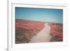 California Blooms IV-Elizabeth Urquhart-Framed Photographic Print